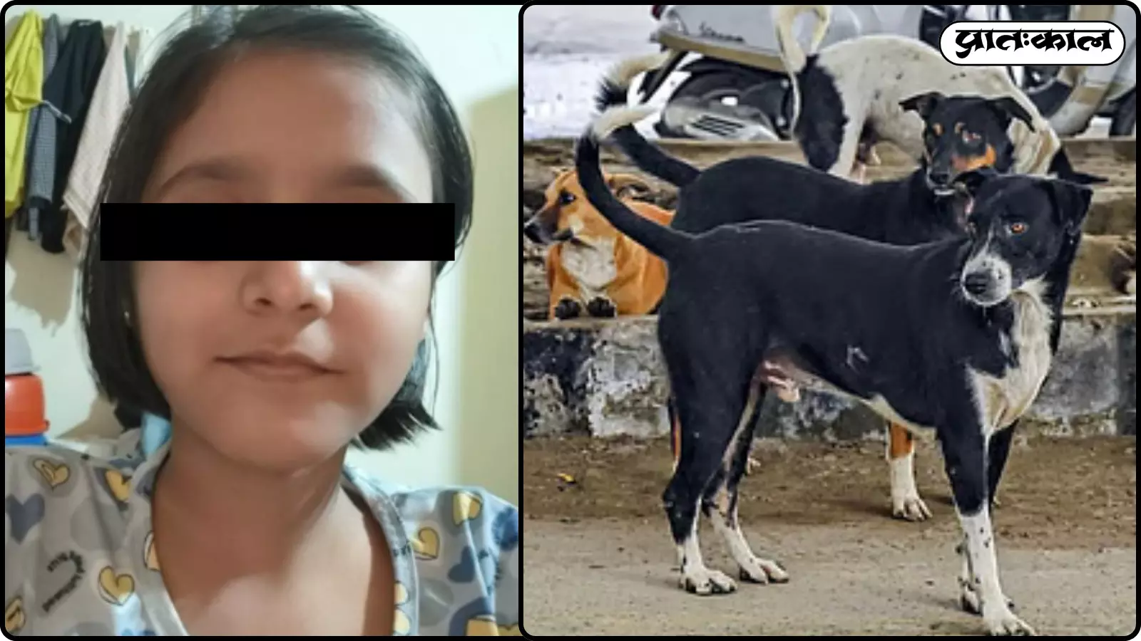 नालासोपारा में 9 वर्षीय बच्ची की रेबीज से मौत नालासोपारा में 9 वर्षीय बच्ची की रेबीज से मौत