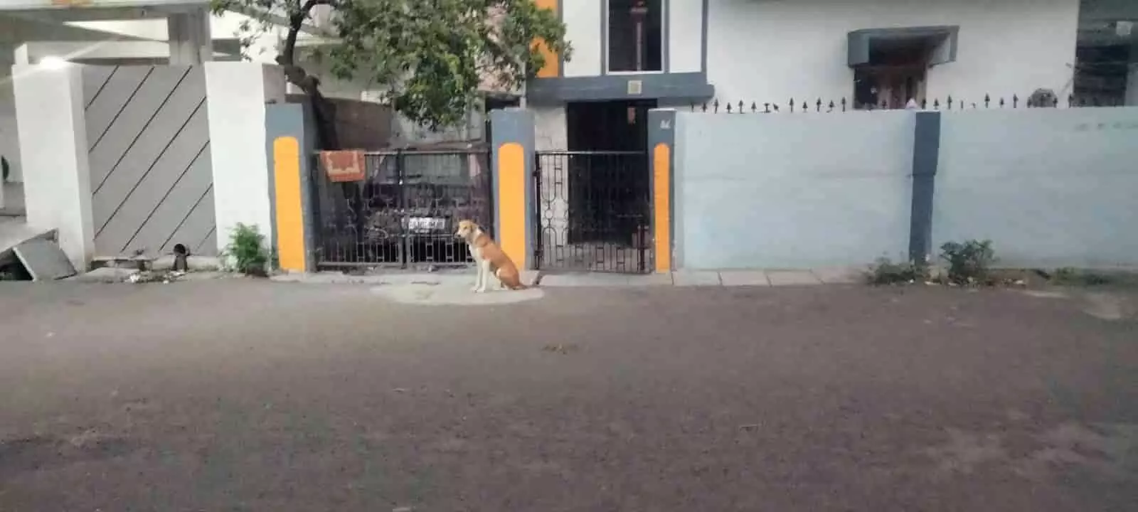 लातूर के शाहूनगर उद्यान में टहलते हुए बुजुर्गों पर आवारा कुत्ते द्वारा किए गए हमले का प्रतीकात्मक चित्रण।