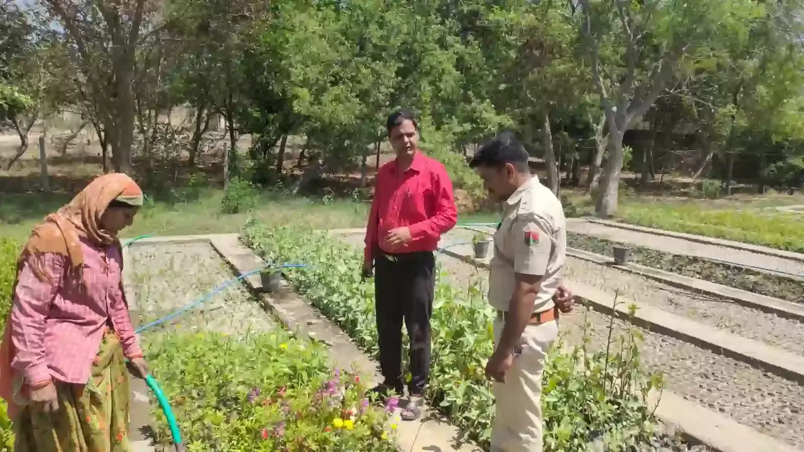 ब्यावर की देलवाड़ा रोड नर्सरी में क्यारियों में कतारबद्ध तरीके से तैयार किए गए विभिन्न प्रजातियों के छोटे पौधे। ब्यावर की देलवाड़ा रोड नर्सरी में क्यारियों में कतारबद्ध तरीके से तैयार किए गए विभिन्न प्रजातियों के छोटे पौधे।