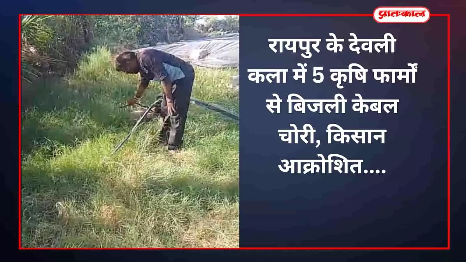 रायपुर के देवली कला में 5 कृषि फार्मों से बिजली केबल चोरी, किसान आक्रोशित रायपुर के देवली कला में 5 कृषि फार्मों से बिजली केबल चोरी, किसान आक्रोशित