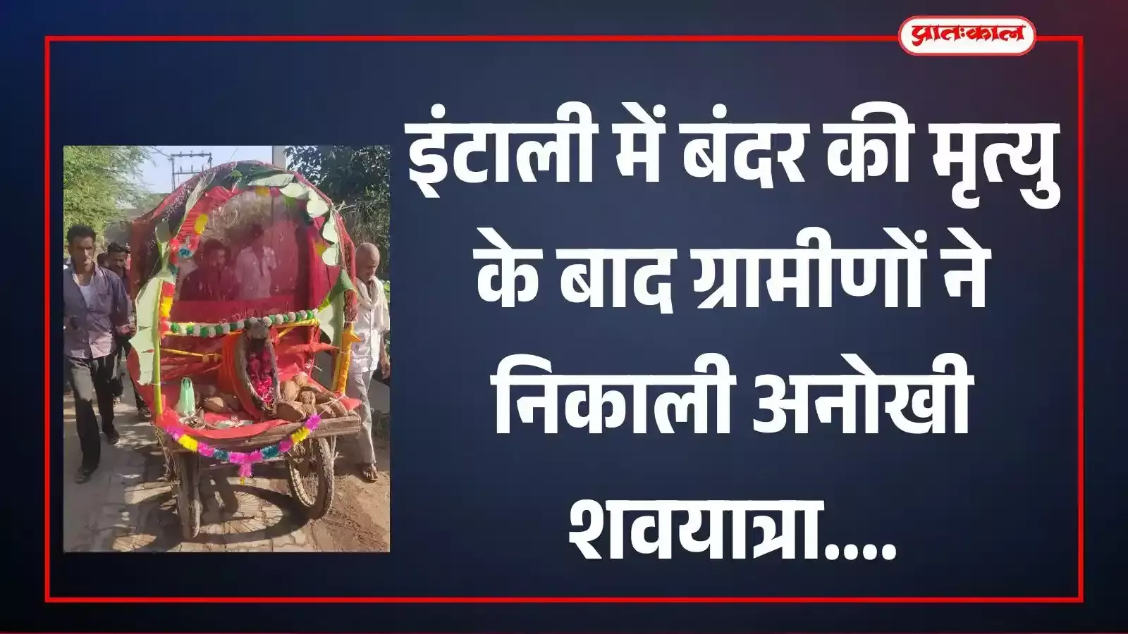 फतहनगर के इंटाली गांव में ग्रामीण मृत बंदर की अंतिम शवयात्रा निकालते हुए।