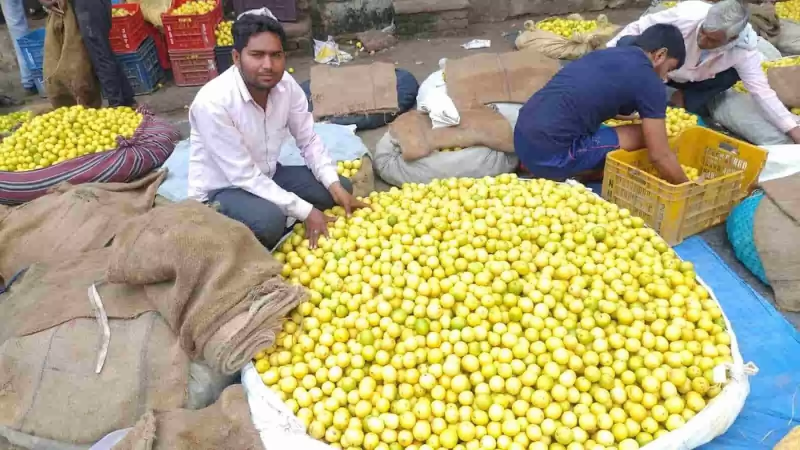 lemon-price-hike-bhusawar-market-ai-generated.jpg lemon-price-hike-bhusawar-market-ai-generated.jpg