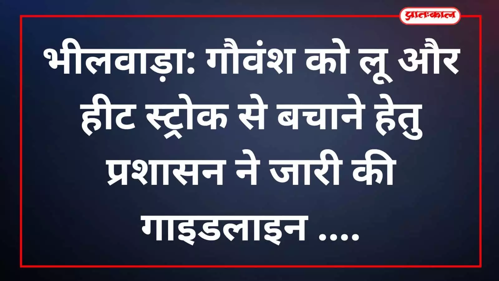 भीलवाड़ा: गौवंश को लू और हीट स्ट्रोक से बचाने हेतु प्रशासन ने जारी की गाइडलाइन भीलवाड़ा: गौवंश को लू और हीट स्ट्रोक से बचाने हेतु प्रशासन ने जारी की गाइडलाइन