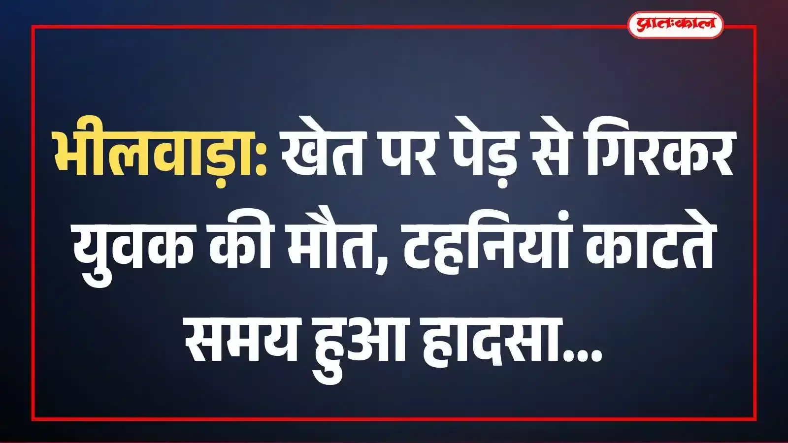 भीलवाड़ा: खेत पर पेड़ से गिरकर युवक की मौत, टहनियां काटते समय हुआ हादसा भीलवाड़ा: खेत पर पेड़ से गिरकर युवक की मौत, टहनियां काटते समय हुआ हादसा