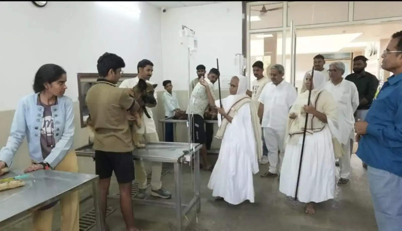 बारां के जीव आसरा चिकित्सालय में घायल पशुओं का निरीक्षण करतीं जैन साध्वी अर्चना श्री जी एवं यशोगुणा श्री जी महाराज।