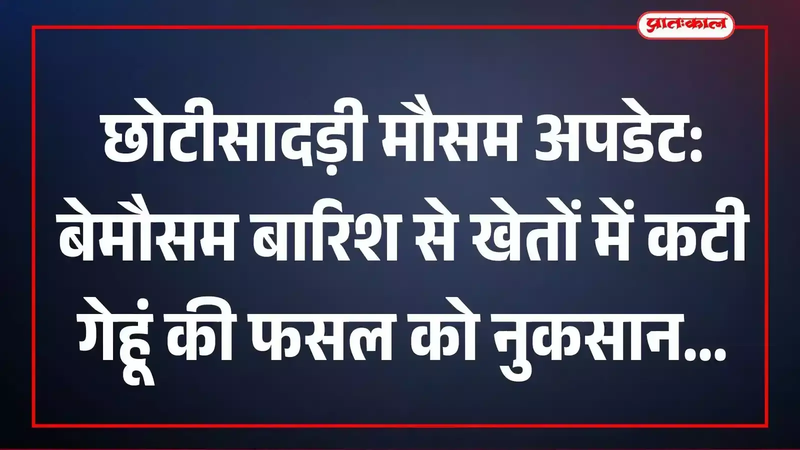 छोटीसादड़ी मौसम अपडेट: बेमौसम बारिश से खेतों में कटी गेहूं की फसल को नुकसान छोटीसादड़ी मौसम अपडेट: बेमौसम बारिश से खेतों में कटी गेहूं की फसल को नुकसान
