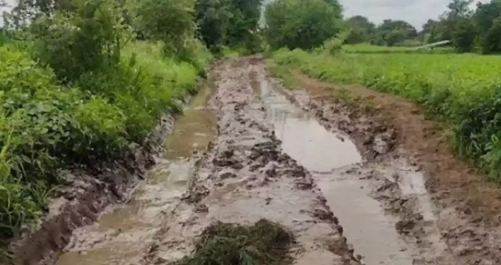 अमरावती की मोर्शी तहसील में पानंद रस्ता योजना के तहत खराब रास्तों की समस्या को लेकर प्रदर्शन करते किसान।