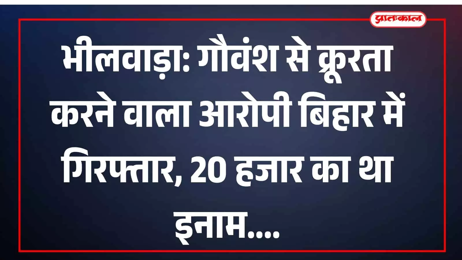 भीलवाड़ा: गौवंश से क्रूरता करने वाला आरोपी बिहार में गिरफ्तार, 20 हजार का था इनाम भीलवाड़ा: गौवंश से क्रूरता करने वाला आरोपी बिहार में गिरफ्तार, 20 हजार का था इनाम