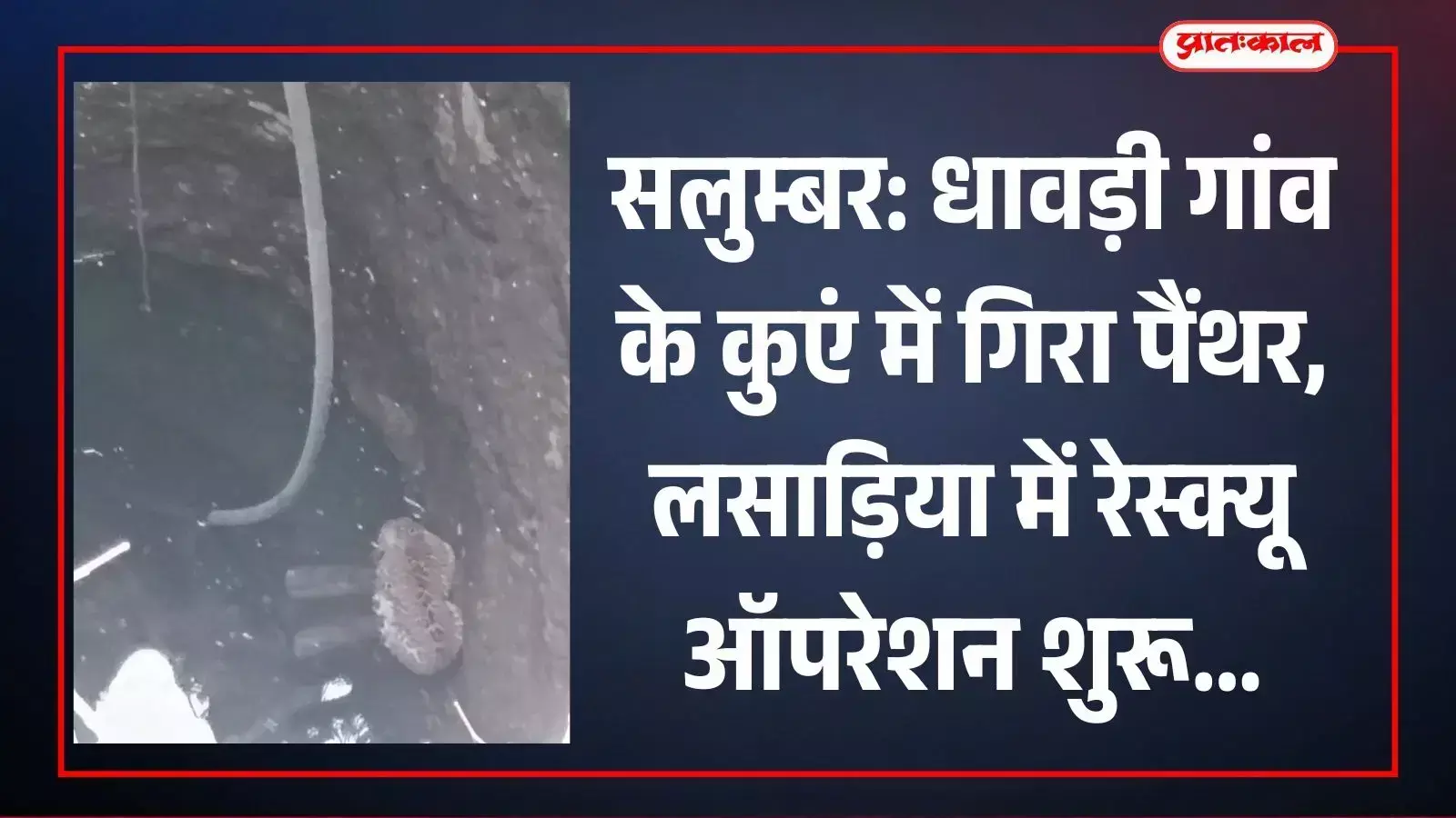 सलुम्बर के लसाड़िया में कुएं के पास पैंथर रेस्क्यू ऑपरेशन की तैयारी करती वन विभाग की टीम। सलुम्बर के लसाड़िया में कुएं के पास पैंथर रेस्क्यू ऑपरेशन की तैयारी करती वन विभाग की टीम।