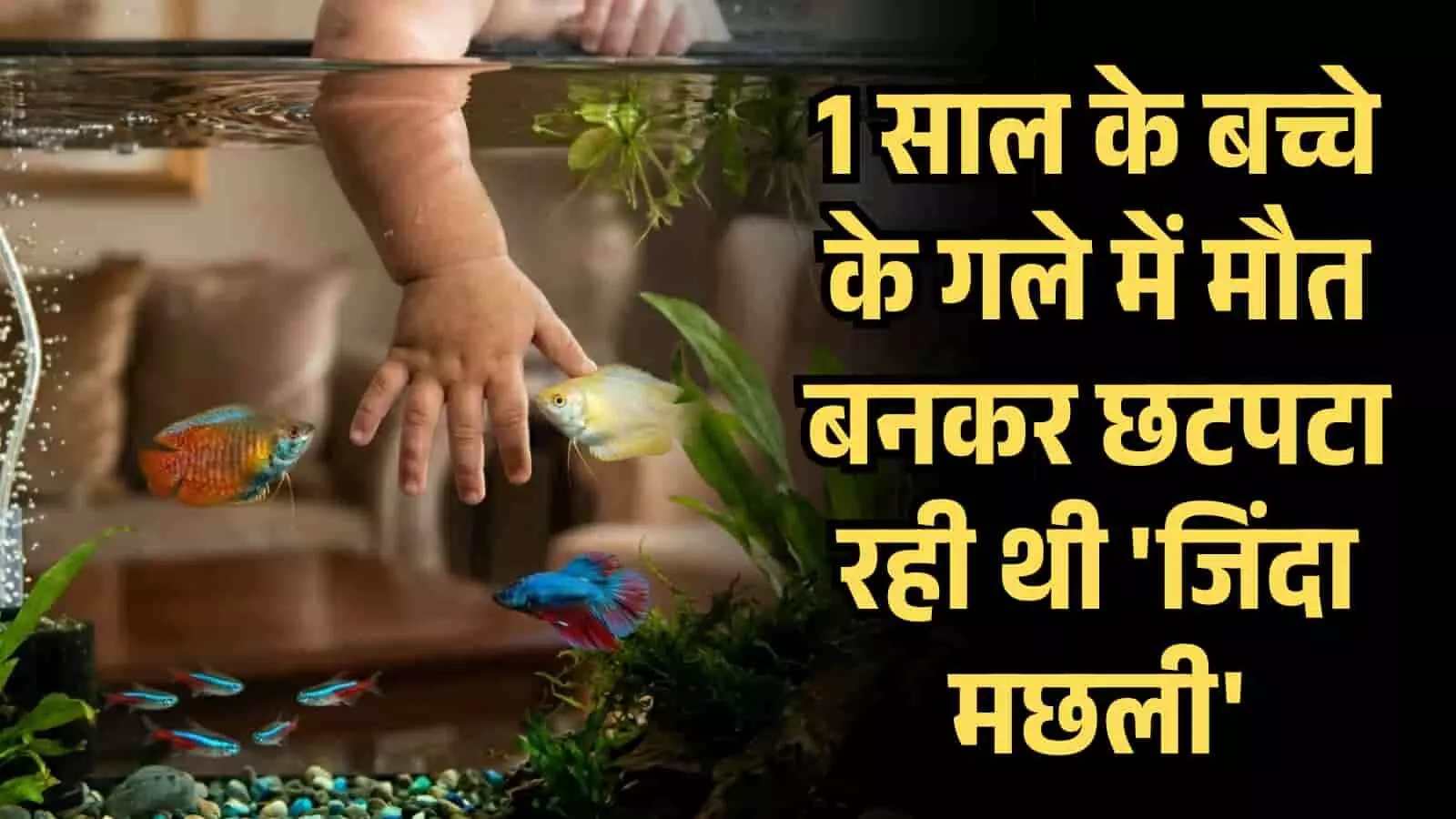 1 साल के बच्चे के गले में मौत बनकर छटपटा रही थी जिंदा मछली, MYH के डॉक्टरों की जांबाजी ने बचाई जान! 1 साल के बच्चे के गले में मौत बनकर छटपटा रही थी जिंदा मछली, MYH के डॉक्टरों की जांबाजी ने बचाई जान!