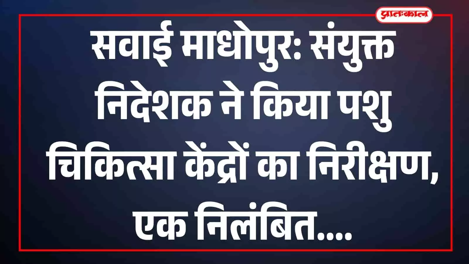 सवाई माधोपुर: संयुक्त निदेशक ने किया पशु चिकित्सा केंद्रों का निरीक्षण, एक निलंबित सवाई माधोपुर: संयुक्त निदेशक ने किया पशु चिकित्सा केंद्रों का निरीक्षण, एक निलंबित
