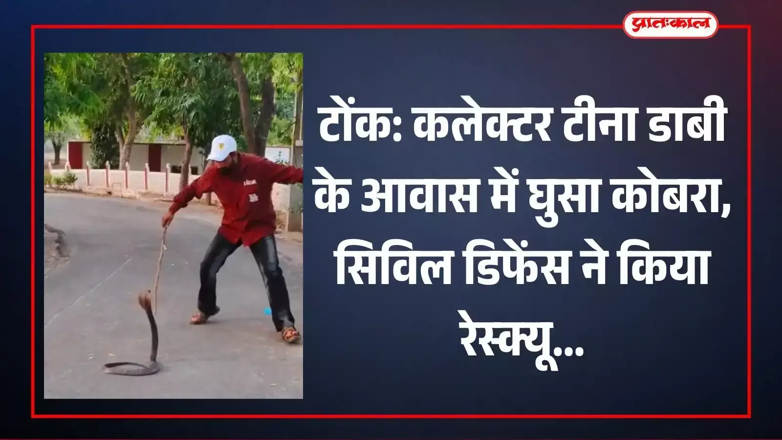 टोंक में कलेक्टर टीना डाबी के सरकारी आवास परिसर में कोबरा सांप का रेस्क्यू करते हुए बचाव दल। टोंक में कलेक्टर टीना डाबी के सरकारी आवास परिसर में कोबरा सांप का रेस्क्यू करते हुए बचाव दल।