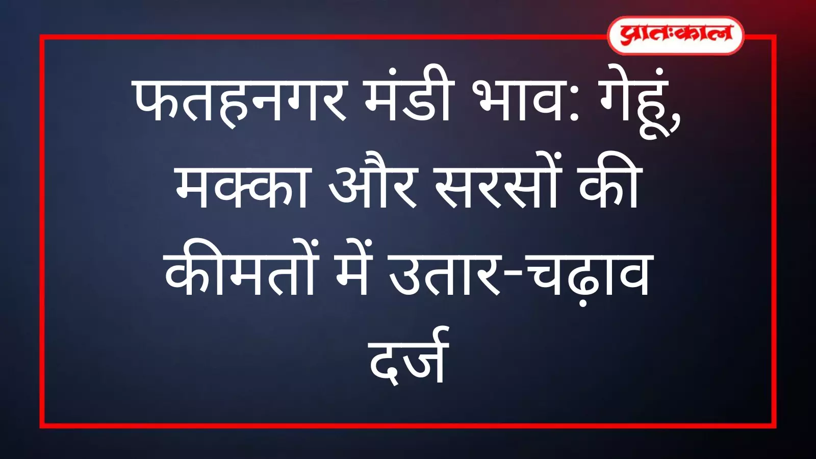 फतहनगर मंडी में कट्टों में भरा अनाज और बिक्री के लिए रखी फसलें उदयपुर राजस्थान। फतहनगर मंडी में कट्टों में भरा अनाज और बिक्री के लिए रखी फसलें उदयपुर राजस्थान।