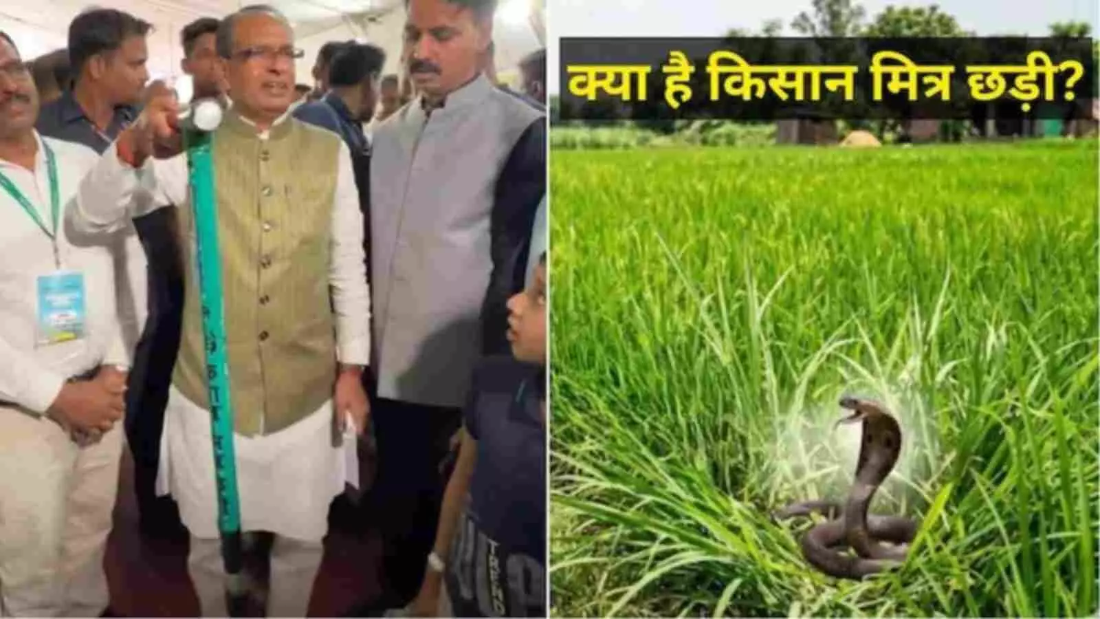 हरे खेत की पृष्ठभूमि में केंद्रीय मंत्री शिवराज सिंह चौहान नीले रंग की किसान मित्र छड़ी पकड़े हुए हैं।