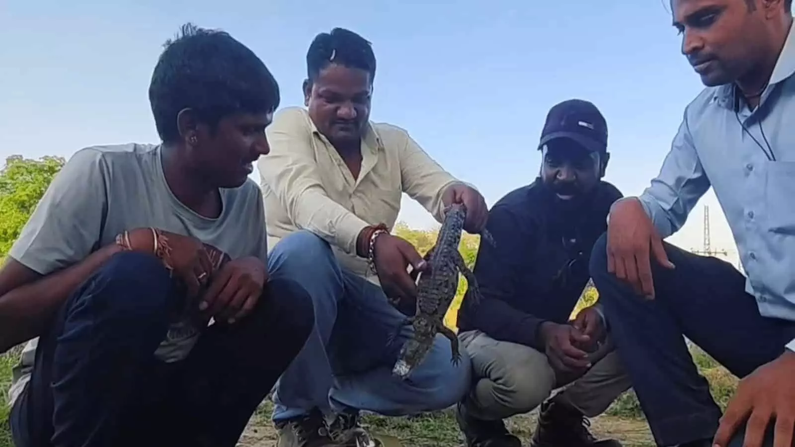 चित्तौड़गढ़ के भोईखेड़ा में गंभीरी नदी के किनारे जाल में फंसे बेबी क्रोकोडाइल का रेस्क्यू करते वन्यजीव प्रेमी। चित्तौड़गढ़ के भोईखेड़ा में गंभीरी नदी के किनारे जाल में फंसे बेबी क्रोकोडाइल का रेस्क्यू करते वन्यजीव प्रेमी।