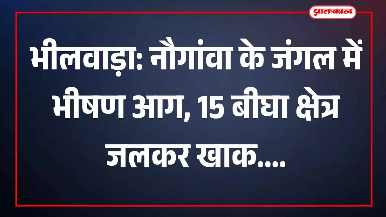 भीलवाड़ा के नौगांवा जंगल में आग बुझने के बाद जलकर राख हुए पेड़ और झाड़ियां दिख रही हैं। भीलवाड़ा के नौगांवा जंगल में आग बुझने के बाद जलकर राख हुए पेड़ और झाड़ियां दिख रही हैं।