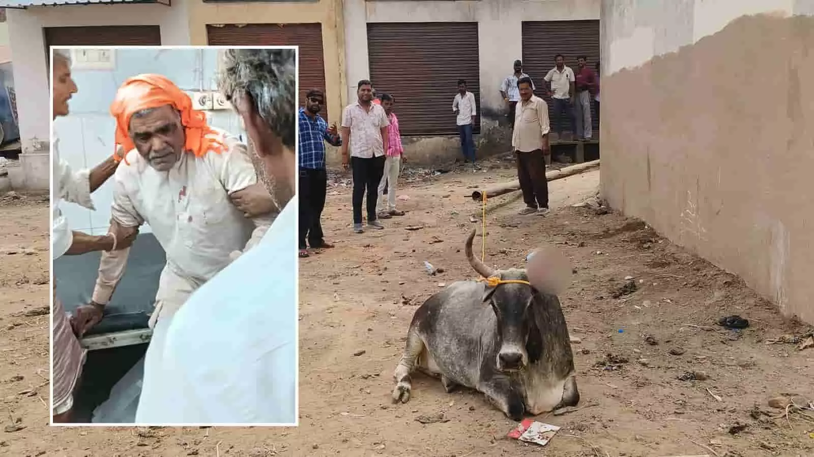 धरियावद में रेबीज संक्रमित गाय के हमले के बाद घायल बुजुर्ग को अस्पताल ले जाते लोग और मैदान में बैठी गाय। धरियावद में रेबीज संक्रमित गाय के हमले के बाद घायल बुजुर्ग को अस्पताल ले जाते लोग और मैदान में बैठी गाय।