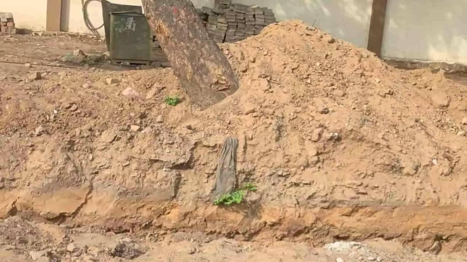 सवाई माधोपुर में सड़क किनारे कटे हुए पेड़ों के अवशेष और स्थायी लोक अदालत का परिसर। सवाई माधोपुर में सड़क किनारे कटे हुए पेड़ों के अवशेष और स्थायी लोक अदालत का परिसर।