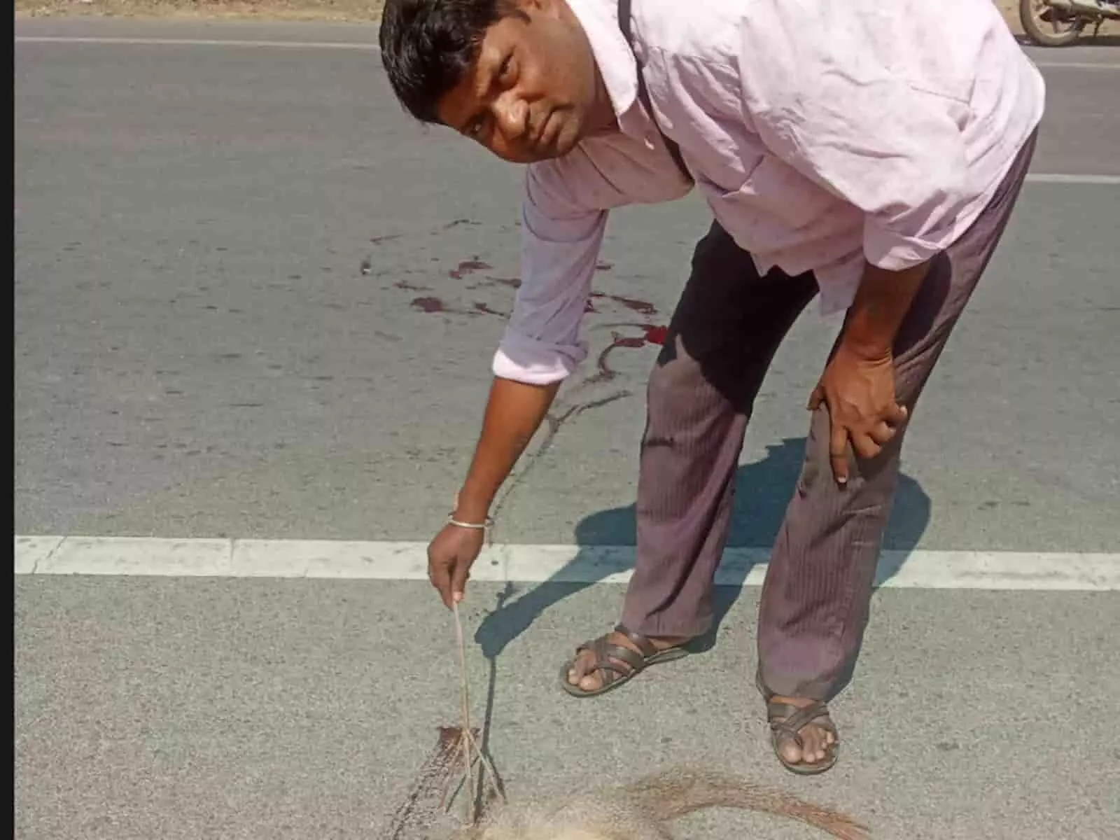 हाईवे 58 पर अज्ञात वाहन की टक्कर के बाद मृत पड़ा नेवला और पास खड़े खूबी लाल पूर्बिया। हाईवे 58 पर अज्ञात वाहन की टक्कर के बाद मृत पड़ा नेवला और पास खड़े खूबी लाल पूर्बिया।
