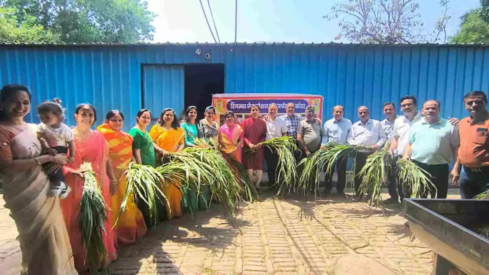 नसिया जी गौशाला कोटा में दिगम्बर जैन सोशल ग्रुप के सदस्य गायों को चारा खिलाते हुए।
