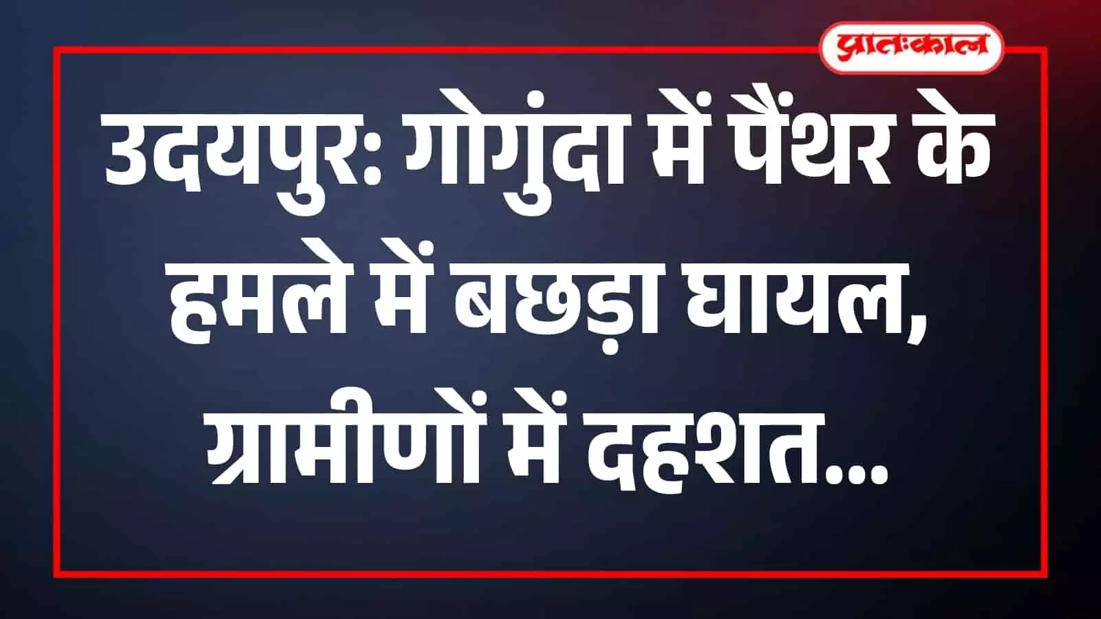 गोगुंदा के राठौड़ों का गुड़ा में पैंथर के हमले से घायल हुआ गाय का बछड़ा। गोगुंदा के राठौड़ों का गुड़ा में पैंथर के हमले से घायल हुआ गाय का बछड़ा।