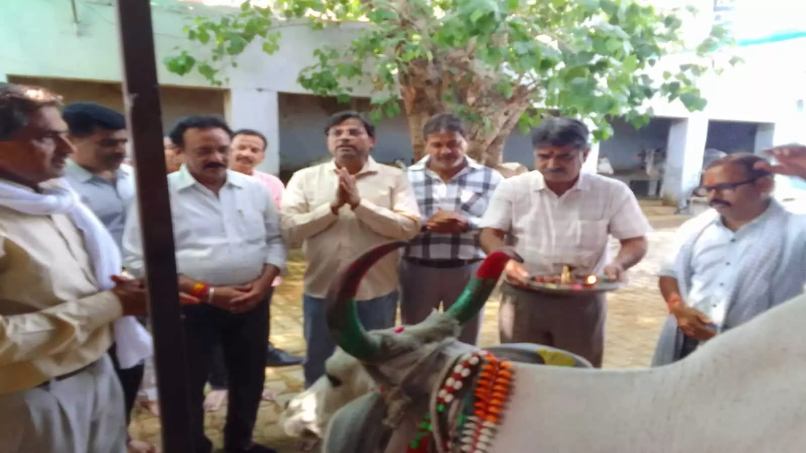 श्रीगोपाल गौशाला गंगापुर सिटी में परशुराम जन्मोत्सव पर गौ-आरती करते ब्राह्मण समाज के लोग। श्रीगोपाल गौशाला गंगापुर सिटी में परशुराम जन्मोत्सव पर गौ-आरती करते ब्राह्मण समाज के लोग।