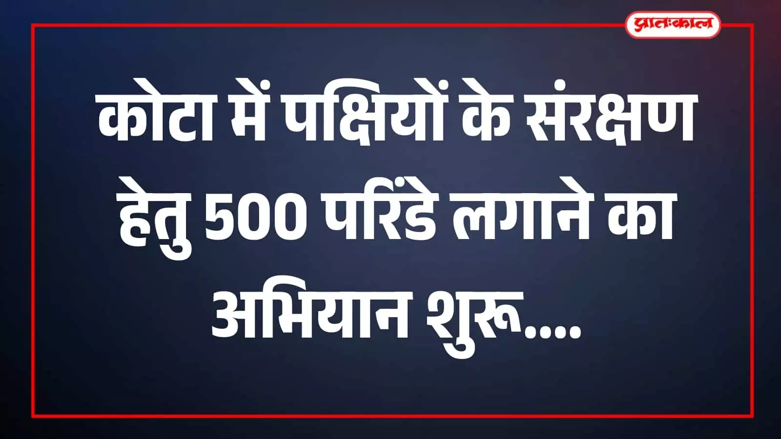 पेड़ की शाखा पर मिट्टी का परिंडा टांगते हुए हिंदू संगठन के कार्यकर्ता कोटा में पक्षी सेवा के दौरान। पेड़ की शाखा पर मिट्टी का परिंडा टांगते हुए हिंदू संगठन के कार्यकर्ता कोटा में पक्षी सेवा के दौरान।