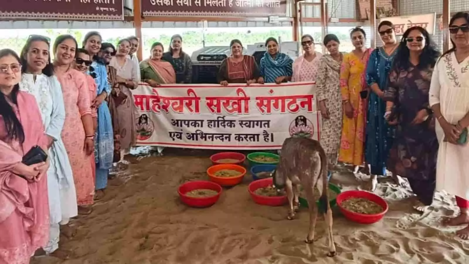 चित्तौड़गढ़ की नंदिनी गौशाला में बैनर के साथ खड़ी महिलाएं और चारा खाता गौवंश। चित्तौड़गढ़ की नंदिनी गौशाला में बैनर के साथ खड़ी महिलाएं और चारा खाता गौवंश।