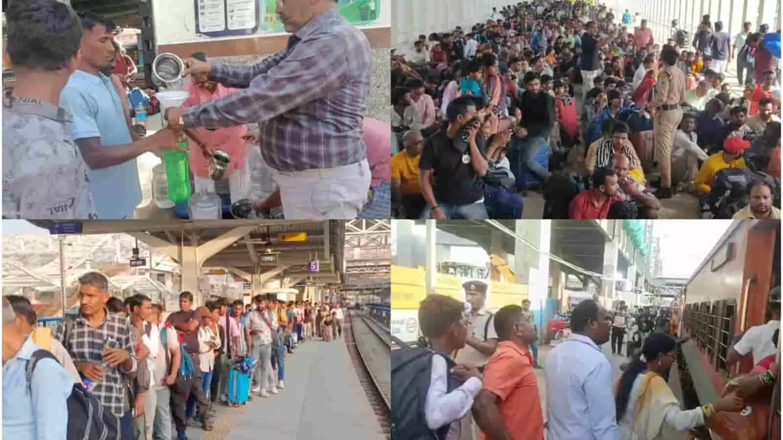 मुंबई में रेलवे ट्रैक पर चलती हुई वेस्टर्न रेलवे की बैंगनी और पीले रंग की लोकल ट्रेन।