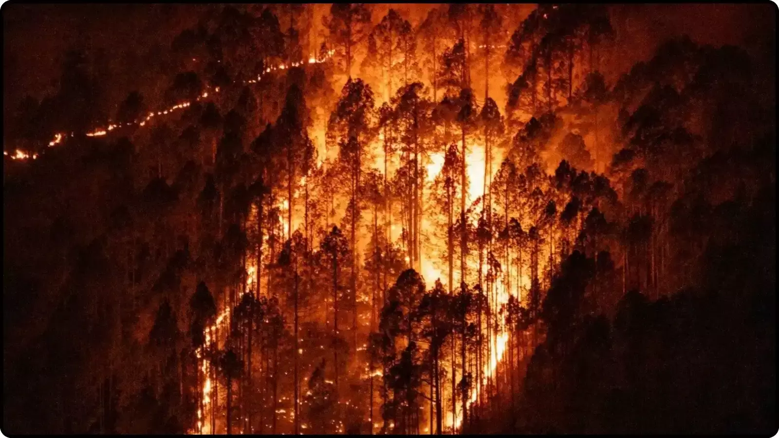 रात के समय ऊंचे पेड़ों के बीच जलती हुई नारंगी लपटें और धुआं उत्तराखंड के पहाड़ी ढलान पर दिख रहा है।