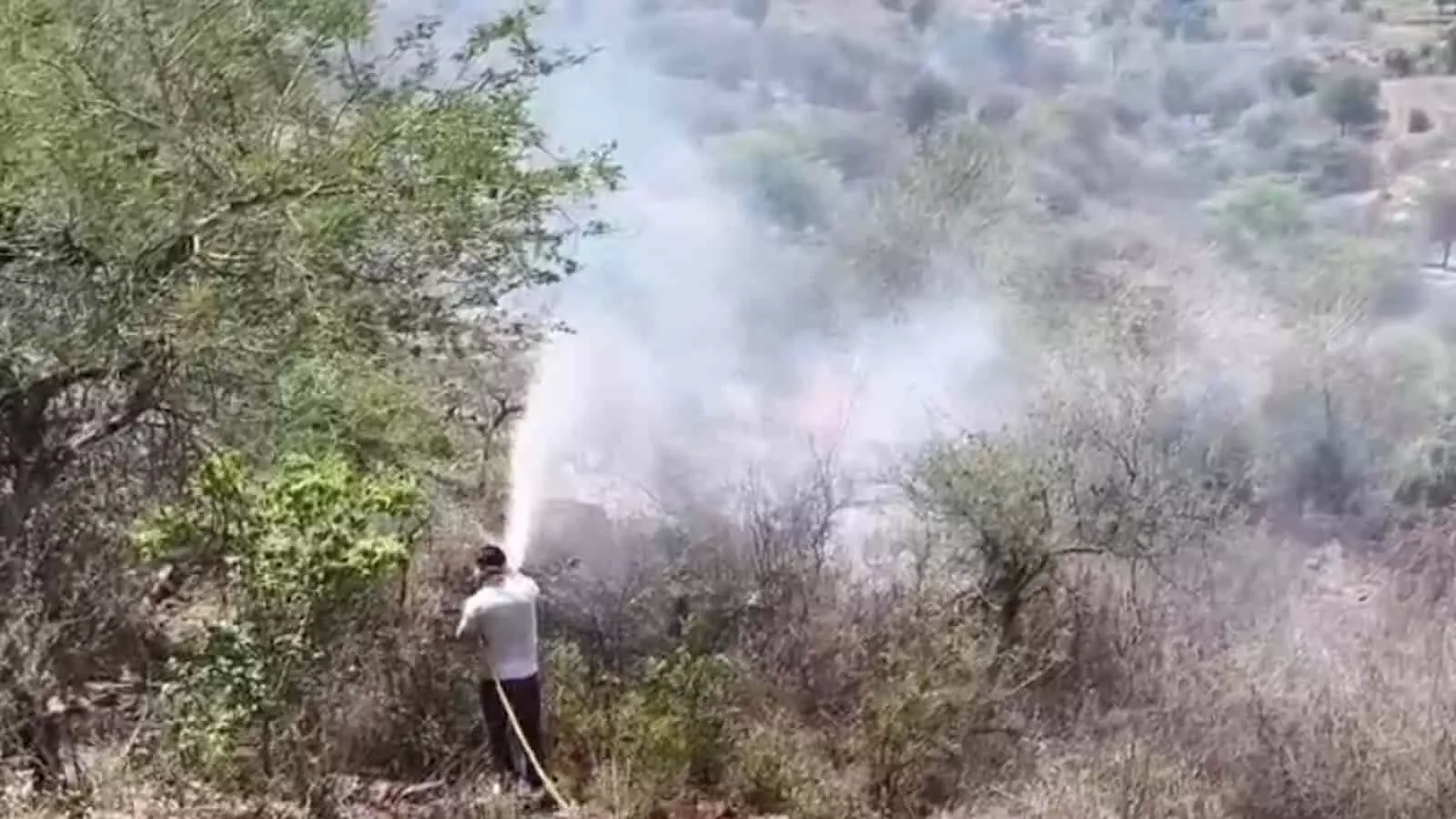 आगर्री की पहाड़ी पर झाड़ियों में लगी आग को पानी की बौछार से बुझाता एक दमकलकर्मी। आगर्री की पहाड़ी पर झाड़ियों में लगी आग को पानी की बौछार से बुझाता एक दमकलकर्मी।