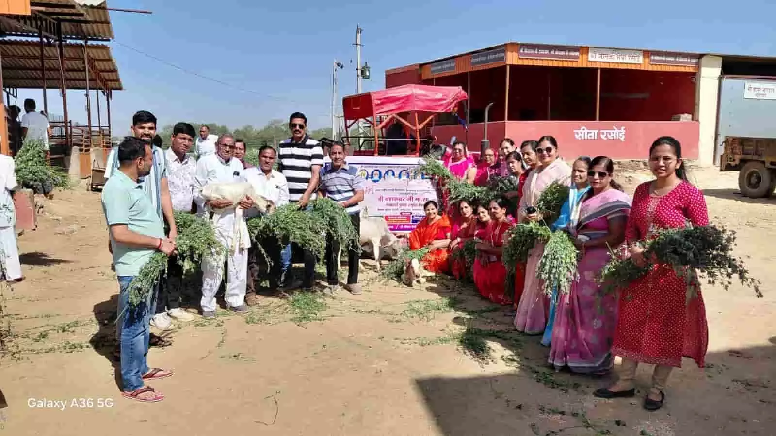 चित्तौड़गढ़ की नंदिनी गौशाला में साध्वी यश कंवर की पुण्यतिथि पर गायों को चारा खिलाते लोग। चित्तौड़गढ़ की नंदिनी गौशाला में साध्वी यश कंवर की पुण्यतिथि पर गायों को चारा खिलाते लोग।