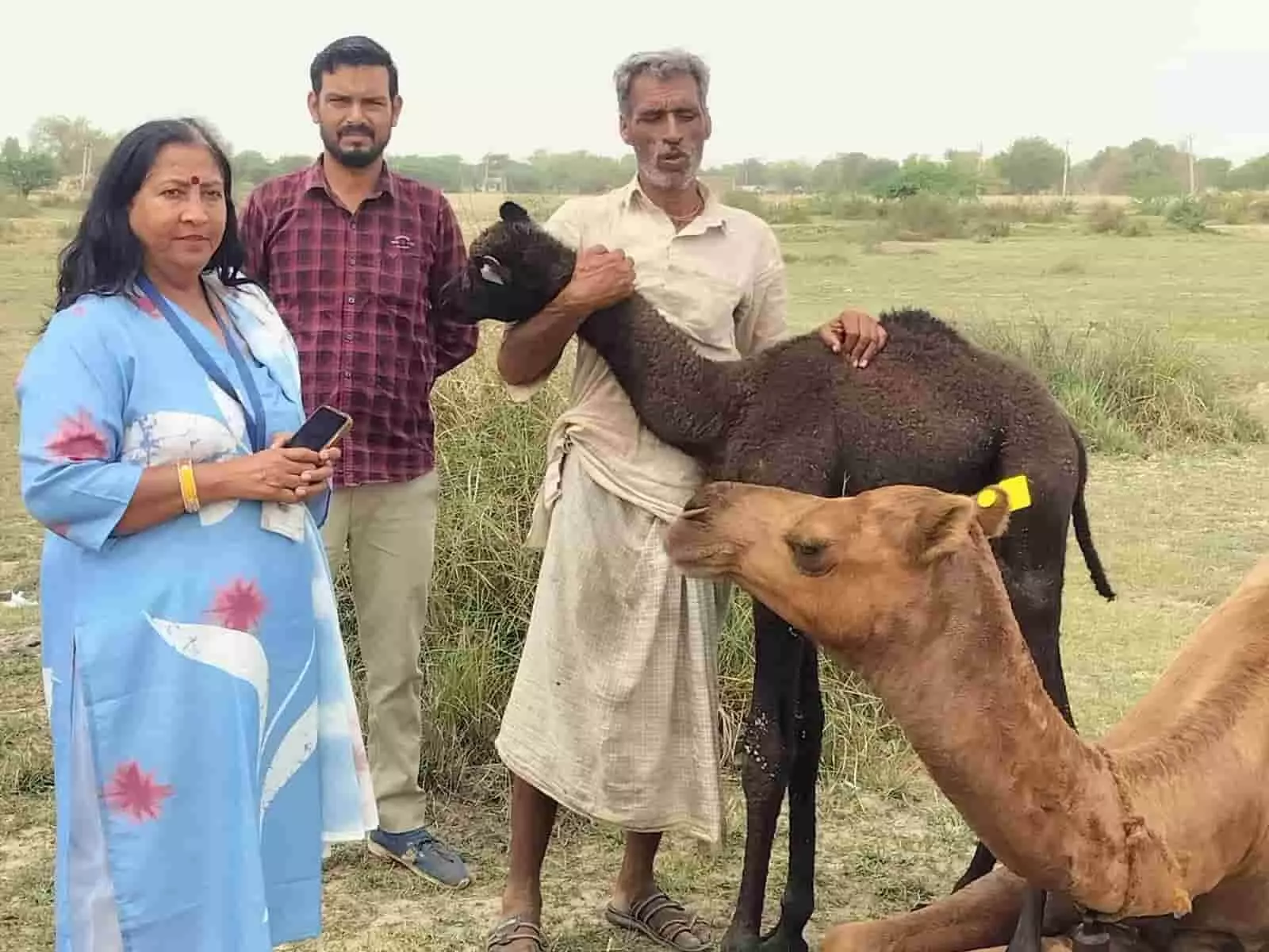 डीग की ग्राम पंचायत बहज में पशुपालन विभाग द्वारा ऊंट का बीमा और स्वास्थ्य परीक्षण किया जा रहा है।
