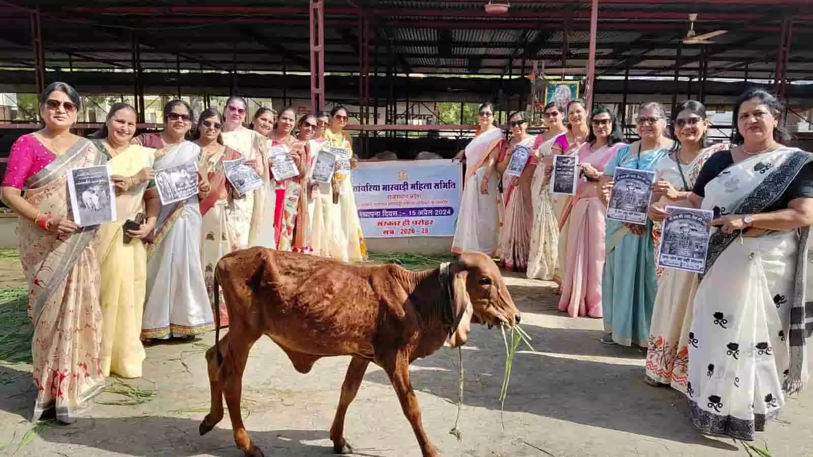 गांधीनगर गौशाला में बैनर और पत्रक लिए खड़ी मारवाड़ी महिला समिति की सदस्य और उनके सामने खड़ा एक बछड़ा। गांधीनगर गौशाला में बैनर और पत्रक लिए खड़ी मारवाड़ी महिला समिति की सदस्य और उनके सामने खड़ा एक बछड़ा।