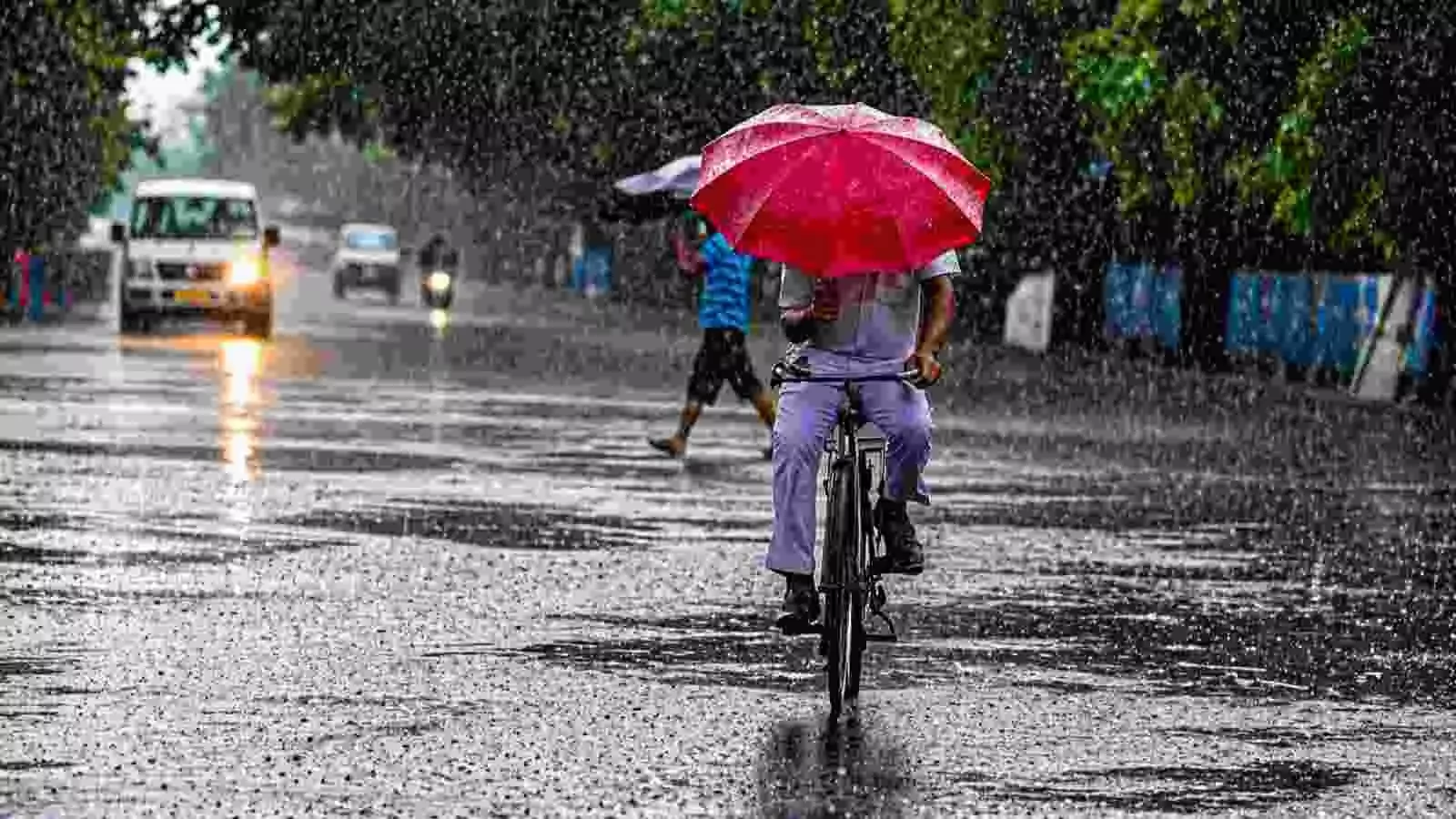 बारिश के दौरान सड़क पर लाल छाता लेकर साइकिल चलाता हुआ एक व्यक्ति| बारिश के दौरान सड़क पर लाल छाता लेकर साइकिल चलाता हुआ एक व्यक्ति|