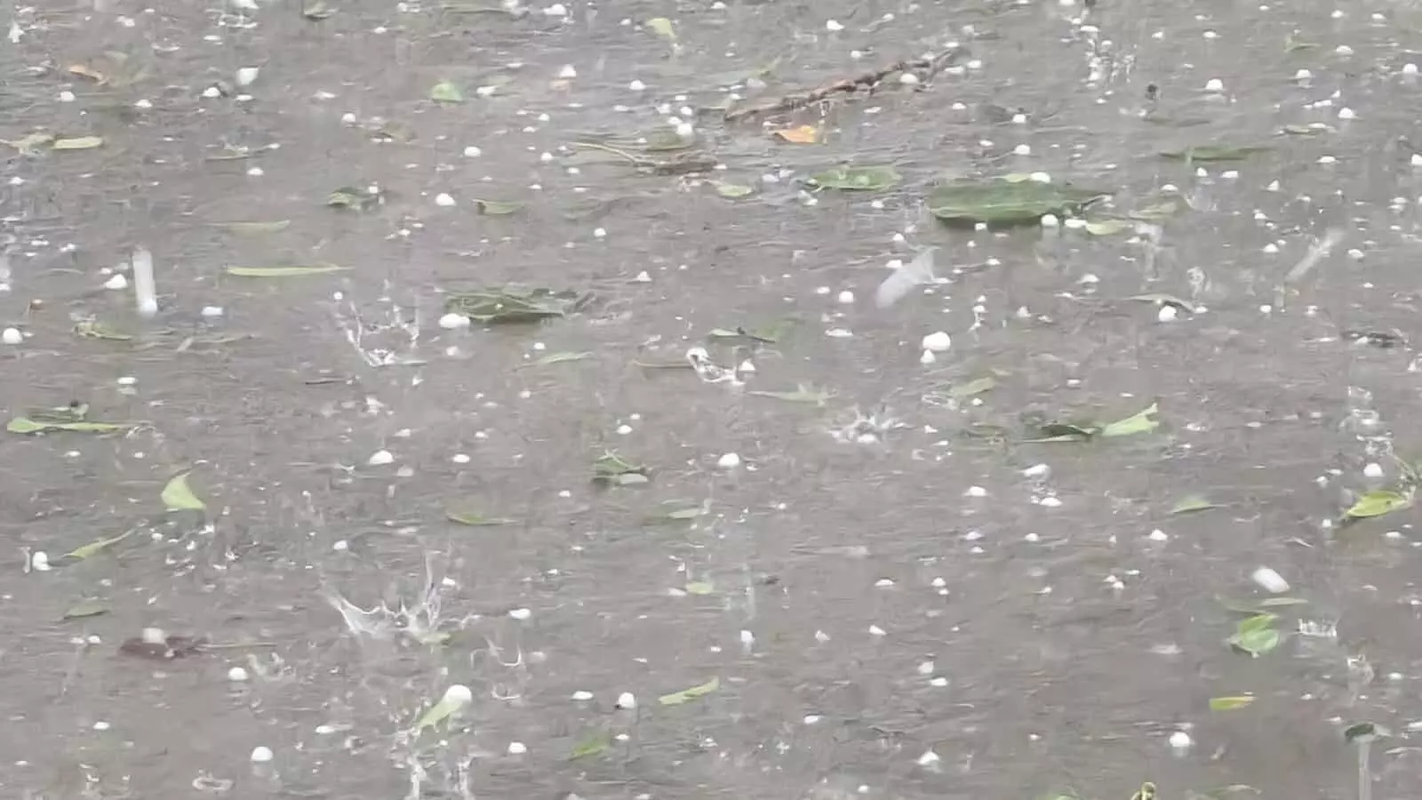 मावली के रिहायशी इलाकों में मूसलाधार बारिश के बाद जलमग्न गलियों में भरा गंदा पानी।