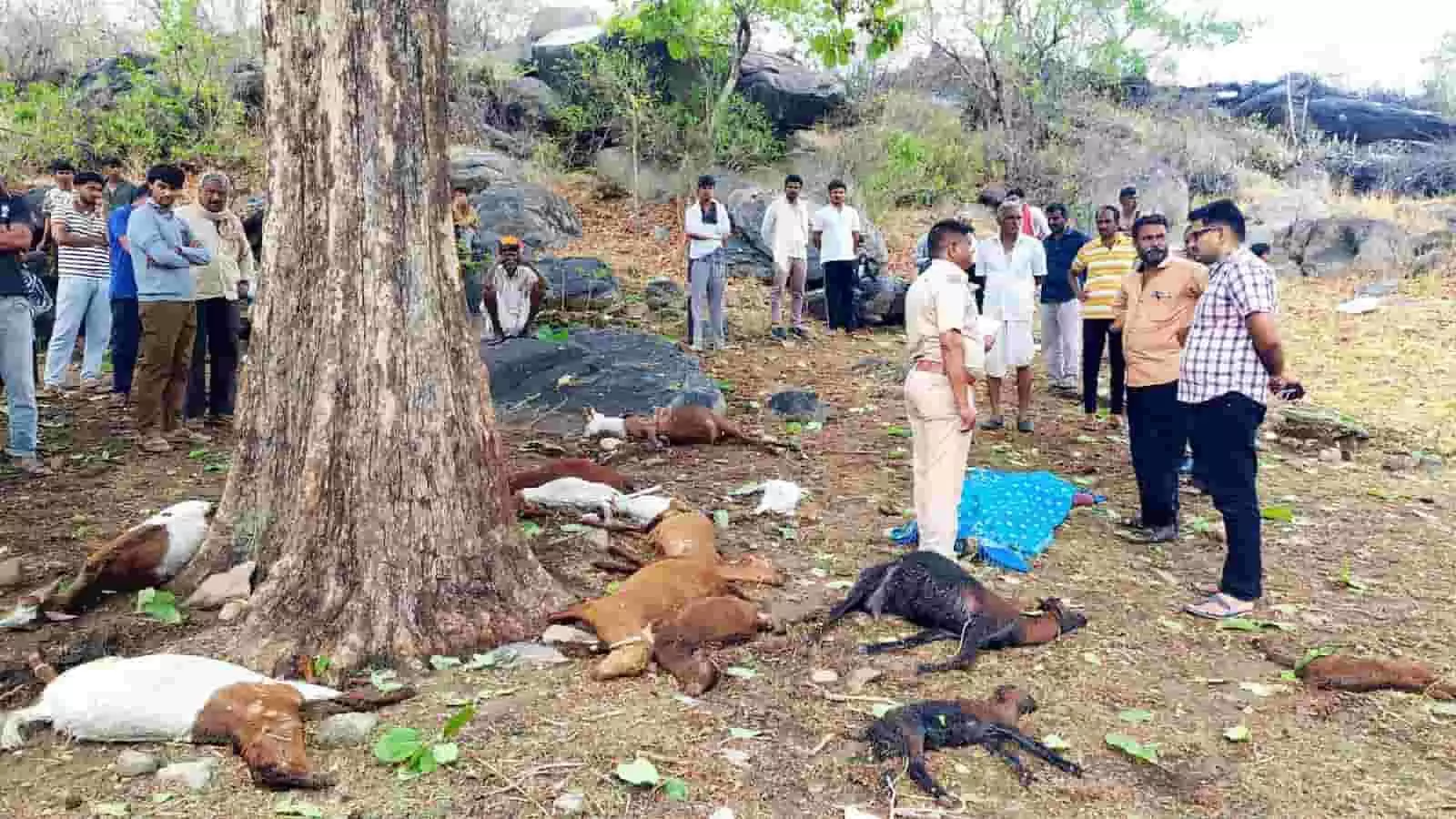 पुलिस अधिकारी और ग्रामीण गजपुर के चतरा जी का गुड़ा में बिजली गिरने से मृत बकरियों के पास खड़े हैं। पुलिस अधिकारी और ग्रामीण गजपुर के चतरा जी का गुड़ा में बिजली गिरने से मृत बकरियों के पास खड़े हैं।