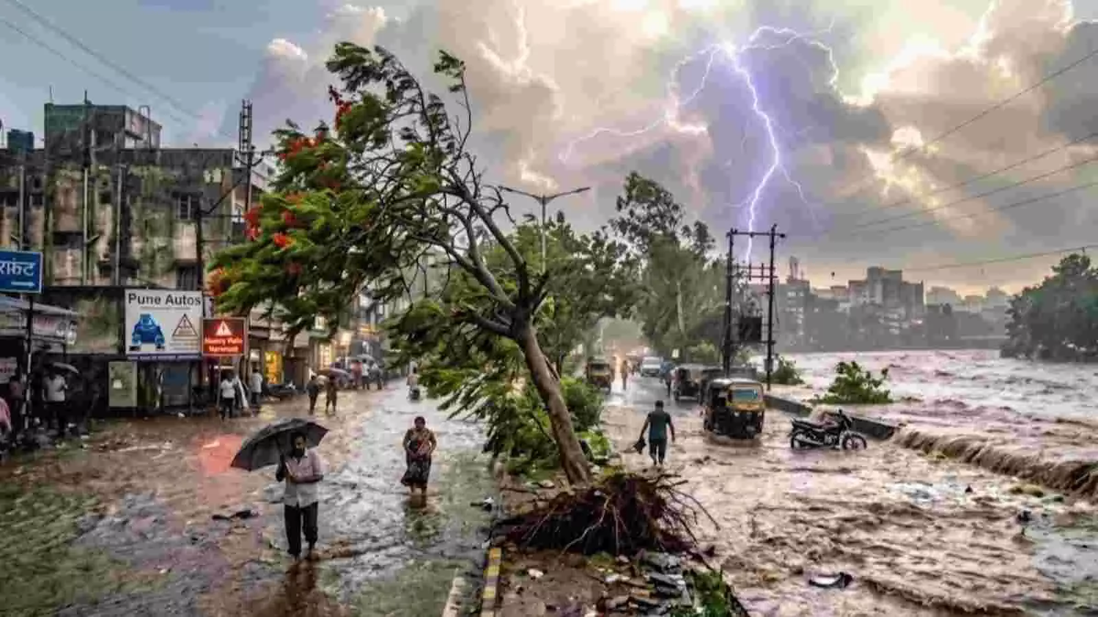 बारिश के दौरान सड़क पर उखड़ा हुआ पेड़ और आसमान में कड़कती हुई बिजली का दृश्य। बारिश के दौरान सड़क पर उखड़ा हुआ पेड़ और आसमान में कड़कती हुई बिजली का दृश्य।