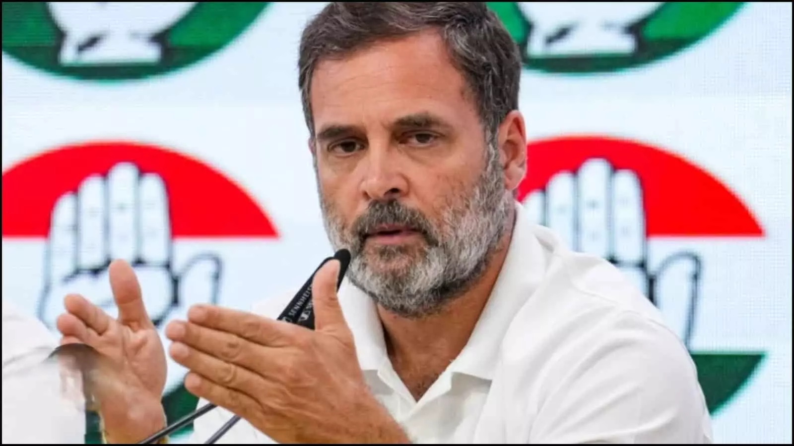 सफेद टी-शर्ट में माइक के सामने हाथ से इशारा करते राहुल गांधी कांग्रेस मुख्यालय में प्रेस वार्ता देते हुए। सफेद टी-शर्ट में माइक के सामने हाथ से इशारा करते राहुल गांधी कांग्रेस मुख्यालय में प्रेस वार्ता देते हुए।