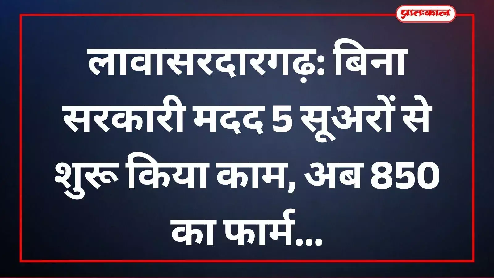 लावासरदारगढ़ में लक्ष्मी कृषि फार्म हाउस पर बाड़े के भीतर मौजूद विभिन्न प्रजाति के वयस्क सूअर और उनके बच्चे। लावासरदारगढ़ में लक्ष्मी कृषि फार्म हाउस पर बाड़े के भीतर मौजूद विभिन्न प्रजाति के वयस्क सूअर और उनके बच्चे।