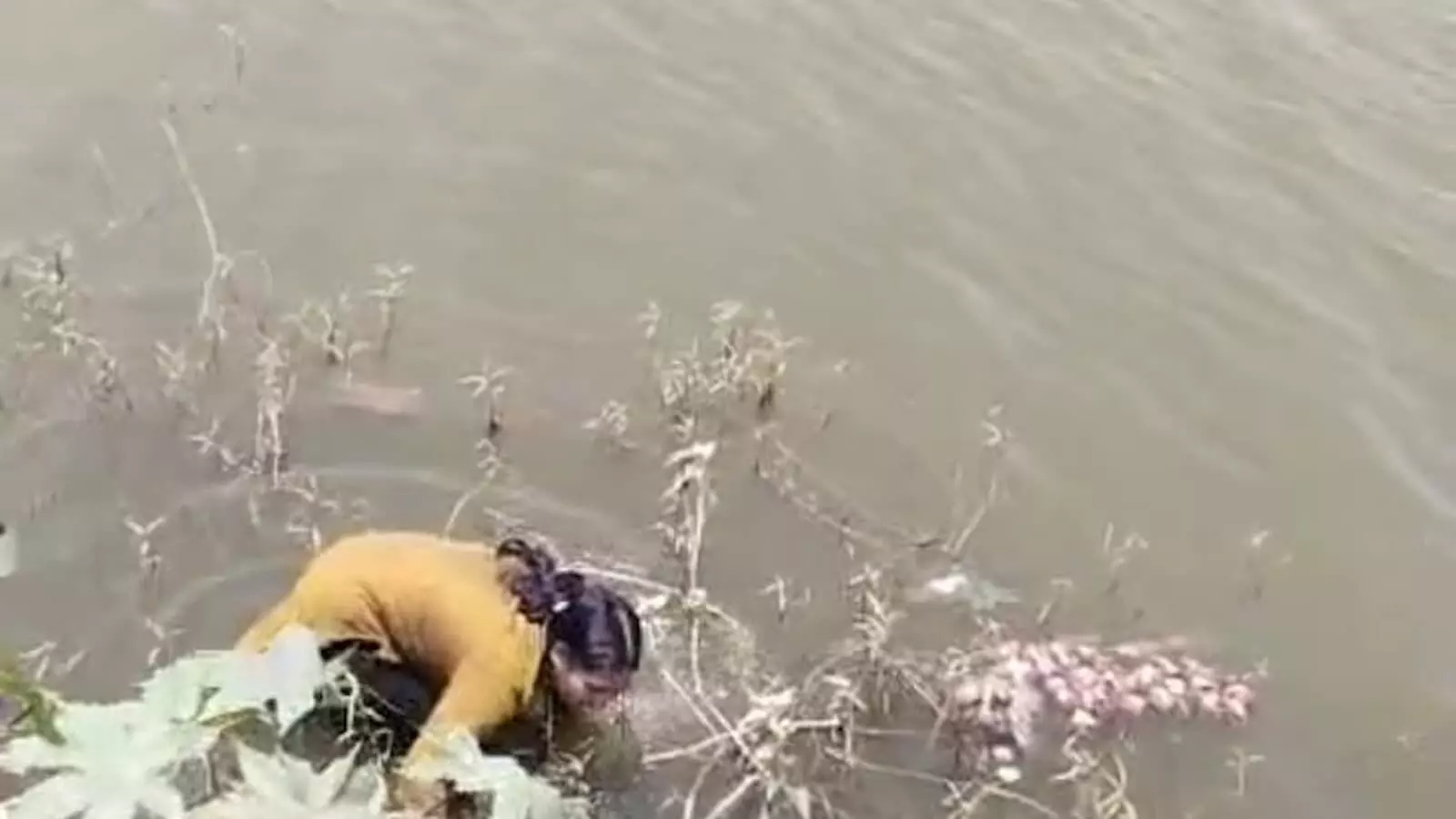 मोती तलाव के किनारे पानी में झुकी हुई युवती जिसे स्थानीय लोगों द्वारा बचाया गया। मोती तलाव के किनारे पानी में झुकी हुई युवती जिसे स्थानीय लोगों द्वारा बचाया गया।