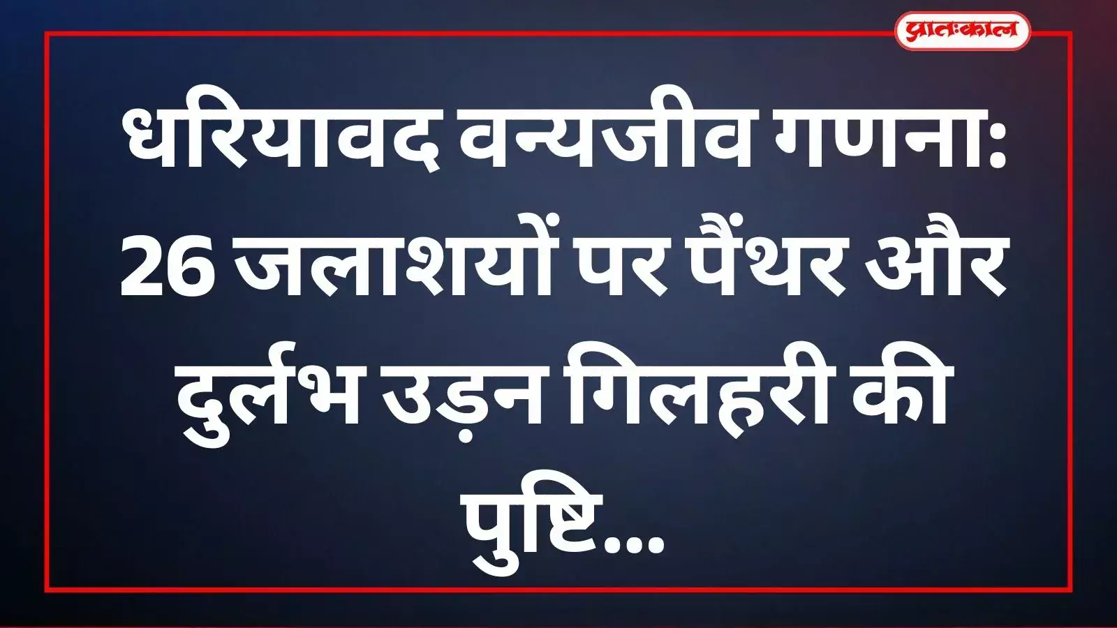धरियावद के जंगल में जलाशय के पास वन्यजीव गणना के लिए मचान पर तैनात वनकर्मी। धरियावद के जंगल में जलाशय के पास वन्यजीव गणना के लिए मचान पर तैनात वनकर्मी।