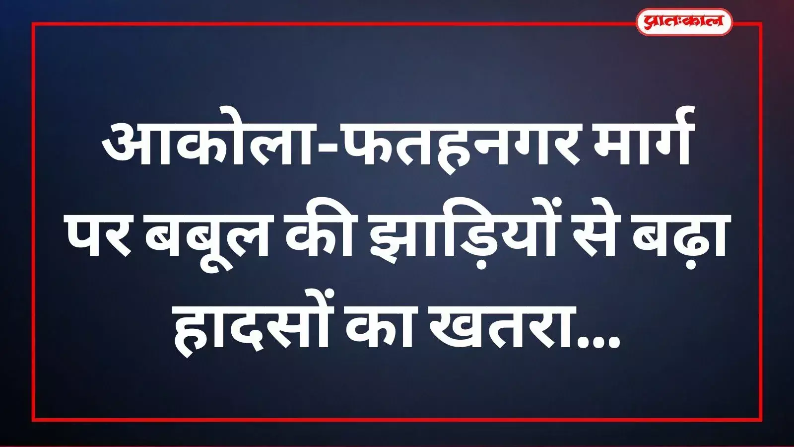 आकोला फतहनगर मार्ग पर कीरकी चौकी के पास सड़क किनारे उगी घनी बबूल की झाड़ियाँ।