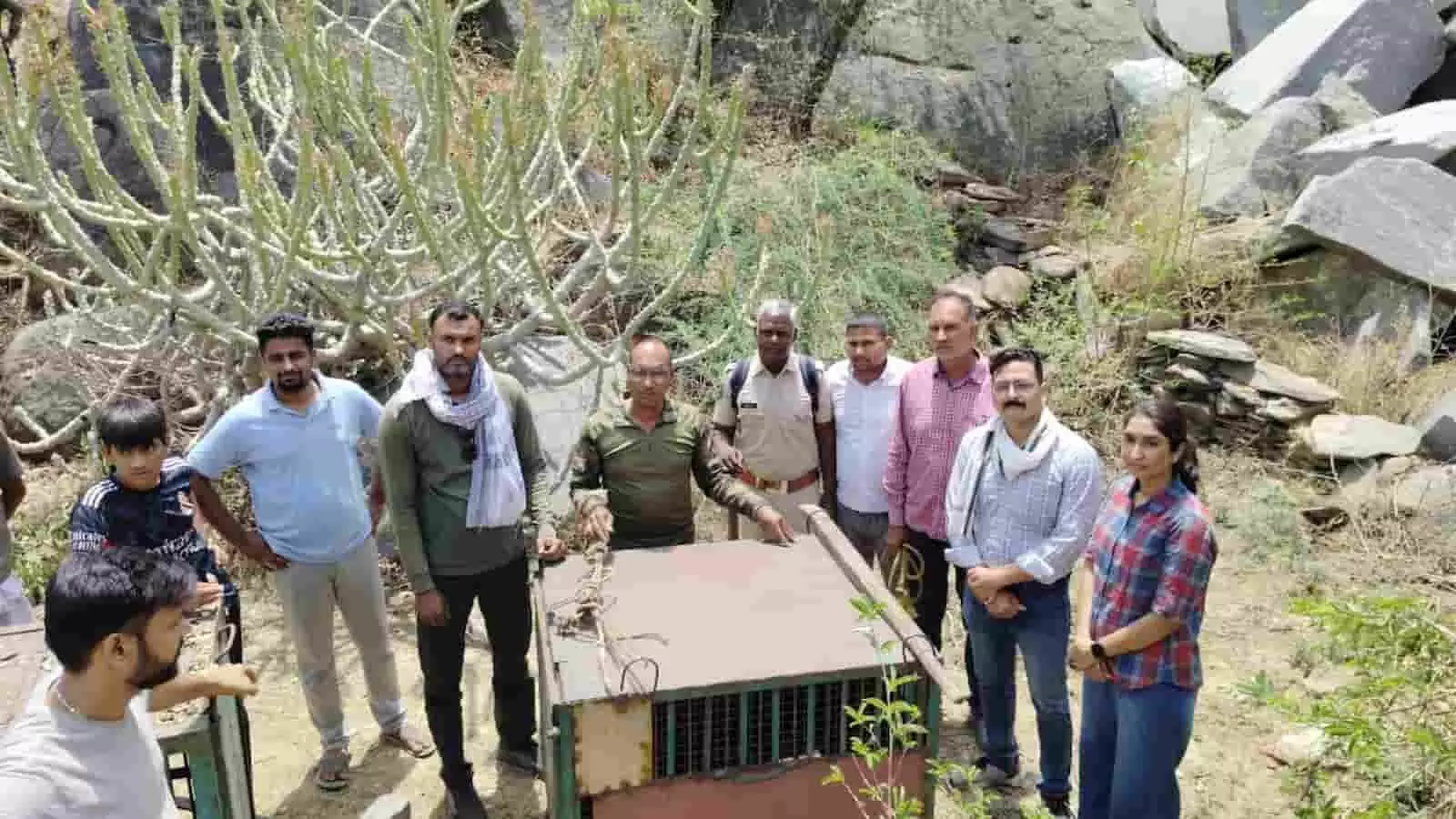 राजसमंद के मदार गांव में पिंजरे में कैद पैंथर के साथ खड़ी वन विभाग की रेस्क्यू टीम।