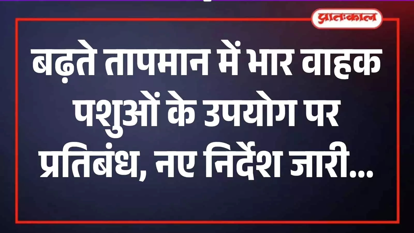 चिलचिलाती धूप में खड़े एक प्यासे बैल को पानी पिलाता हुआ ग्रामीण व्यक्ति। चिलचिलाती धूप में खड़े एक प्यासे बैल को पानी पिलाता हुआ ग्रामीण व्यक्ति।