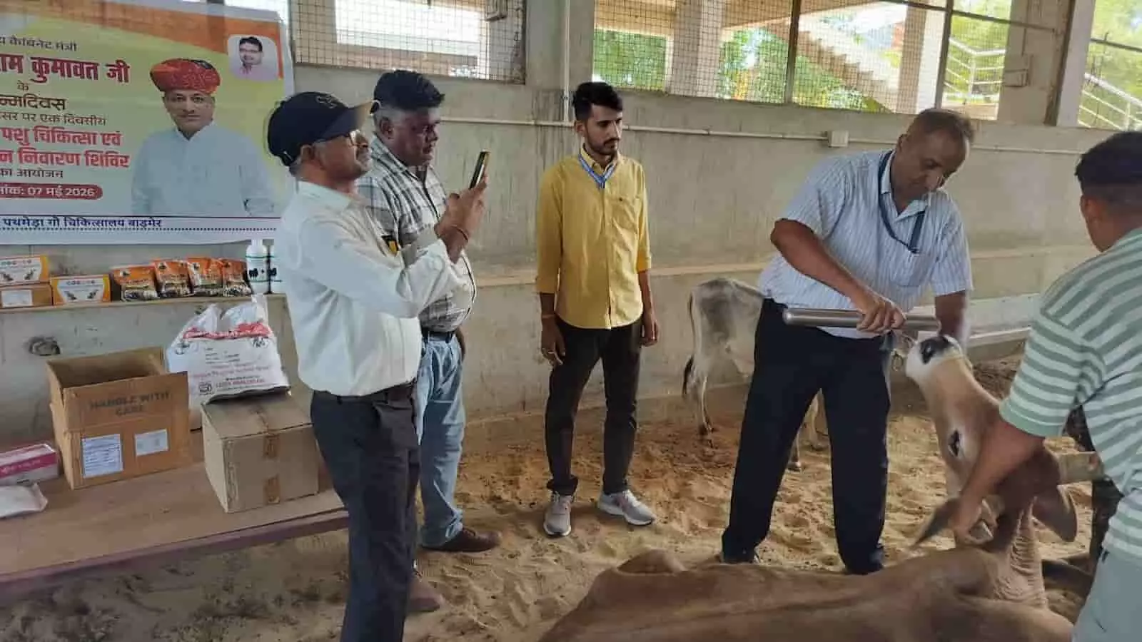 बाड़मेर की गौशाला में पशु चिकित्सक द्वारा बीमार गाय का स्वास्थ्य परीक्षण और उपचार किया जा रहा है। बाड़मेर की गौशाला में पशु चिकित्सक द्वारा बीमार गाय का स्वास्थ्य परीक्षण और उपचार किया जा रहा है।