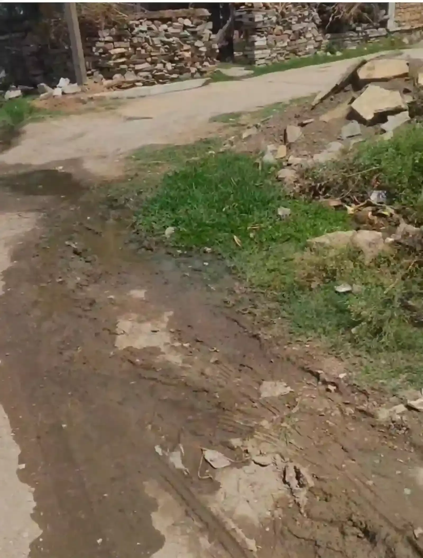बंबोरी गांव की नई आबादी में सड़क पर बहता नालियों का गंदा पानी और उगी गाजर घास। बंबोरी गांव की नई आबादी में सड़क पर बहता नालियों का गंदा पानी और उगी गाजर घास।