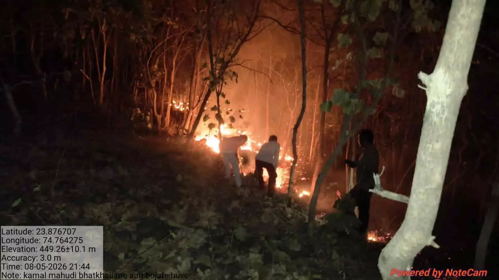 अरनोद के जंगल में पेड़ों के बीच लगी आग को बुझाते हुए वनकर्मी। अरनोद के जंगल में पेड़ों के बीच लगी आग को बुझाते हुए वनकर्मी।