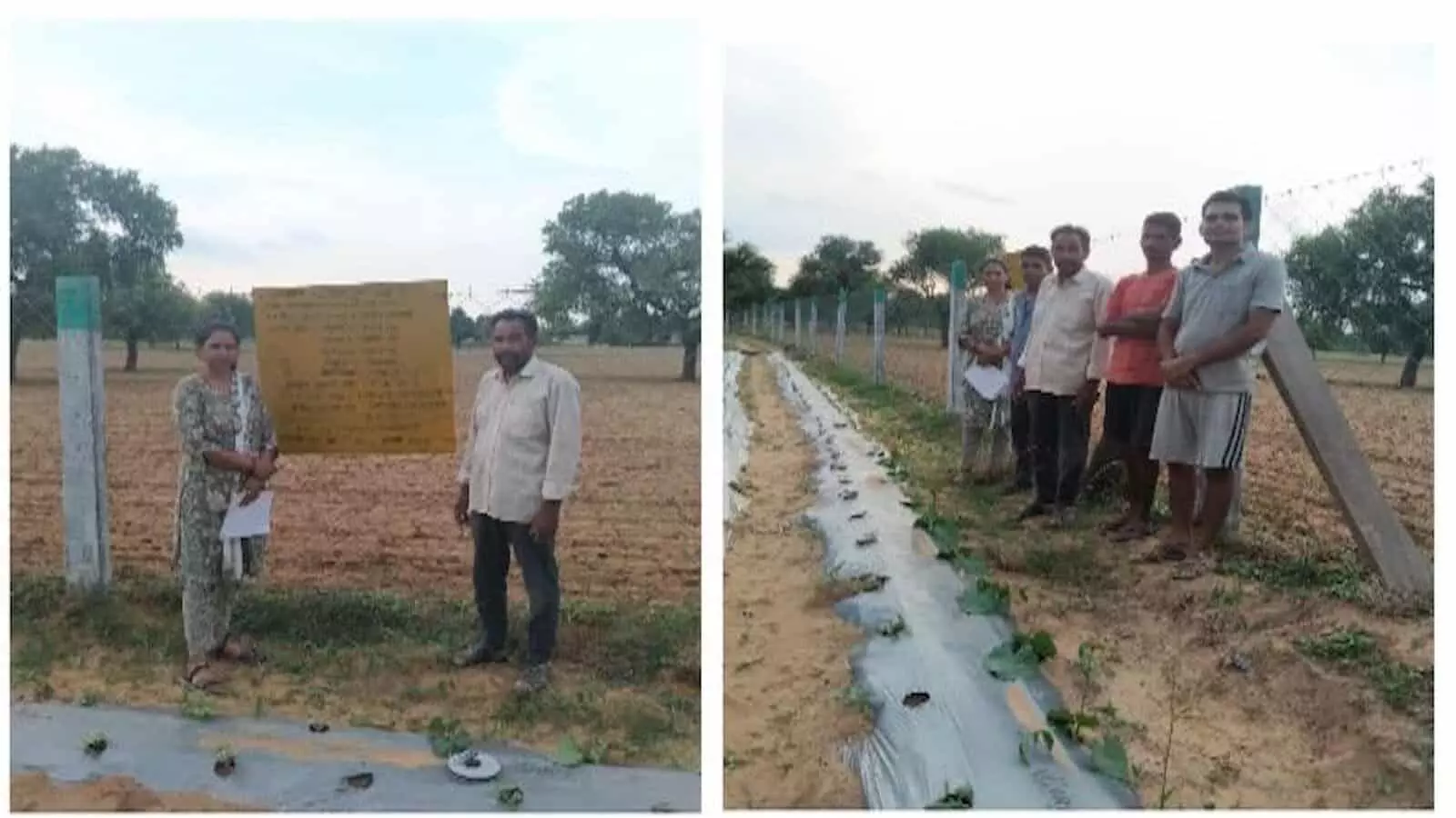 जयपुर के इटावा गांव में तारबंदी योजना के लाभार्थी किसान अपने सुरक्षित खेत के पास खड़े हुए। जयपुर के इटावा गांव में तारबंदी योजना के लाभार्थी किसान अपने सुरक्षित खेत के पास खड़े हुए।