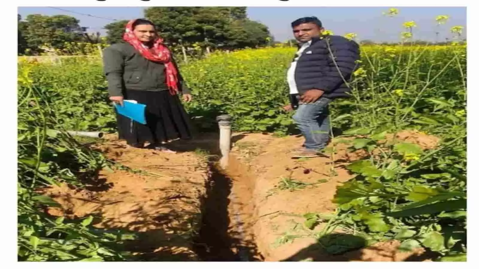 सरसों के खेत में खोदी गई संकरी खाई में बिछी सफेद पाइपलाइन और खड़े ग्रामीण। सरसों के खेत में खोदी गई संकरी खाई में बिछी सफेद पाइपलाइन और खड़े ग्रामीण।